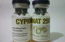 NapsGear Review Dragon Pharma Cyp 250