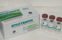 NapsGear Review Hygetropin hgh