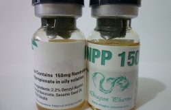 NapsGear Review Sustaviron-250 (Testosterone Mix)